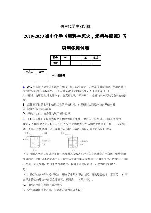 2019-2020学年初中化学《燃料与灭火,燃料与能源》专项训练模拟测试(含答案) (247)