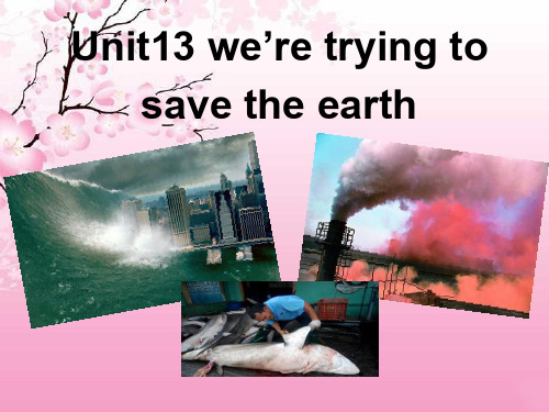 Unit13_we’re_trying_to_save_the_earth(1a--2d)课件