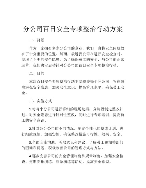 分公司百日安全专项整治行动方案