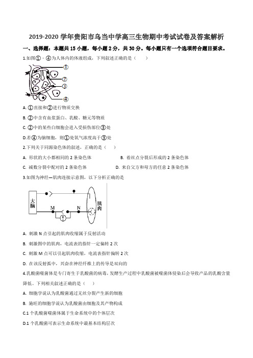 2019-2020学年贵阳市乌当中学高三生物期中考试试卷及答案解析