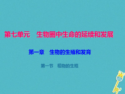 初中生物  八年级生物下册(73份) 人教版精品课件