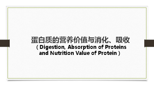 蛋白质的营养价值与消化、吸收
