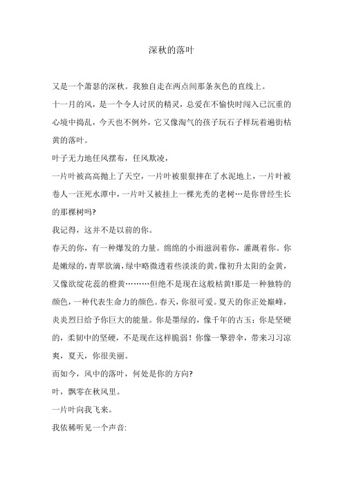 深秋的落叶