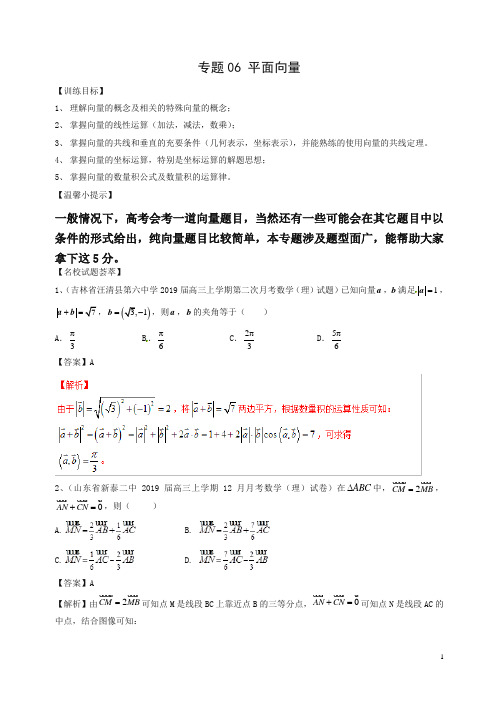 最新高考数学二轮复习解题思维提升专题平面向量训练手册