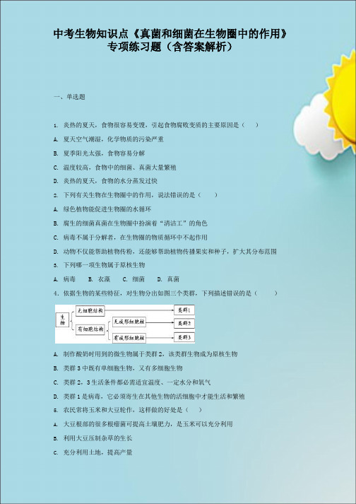 中考生物知识点《真菌和细菌在生物圈中的作用》专项练习题(含答案解析)