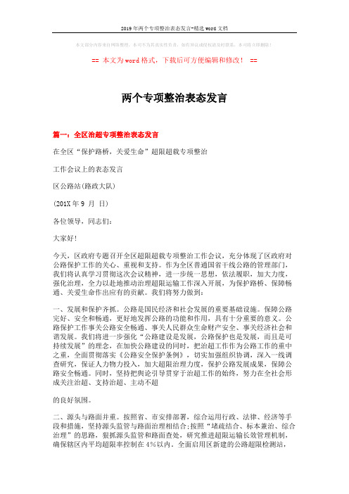 2019年两个专项整治表态发言-精选word文档 (5页)