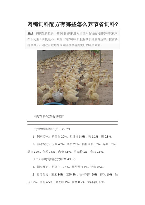 肉鸭饲料配方有哪些怎么养节省饲料