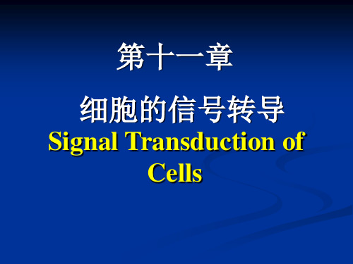 细胞生物学-第十一章 细胞的信号转导