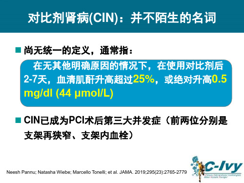 预防对比剂肾病新证据新思路课件共42页文档