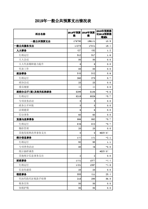 2019年一般公共预算支出情况表