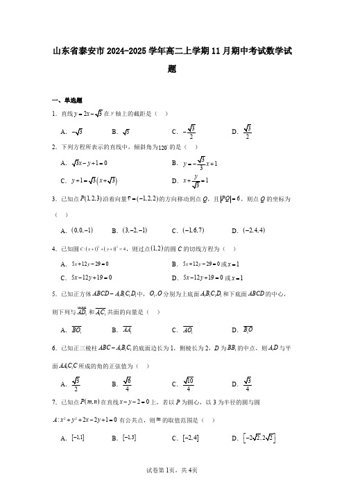 山东省泰安市2024-2025学年高二上学期11月期中考试数学试题