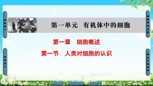 2018年中图版生物必修1 第1单元 第1章 第1节 人类对细胞的认识