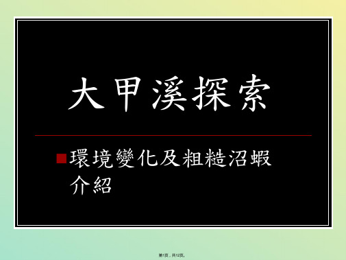 大甲溪探索(与“沼虾”相关文档)共12张PPT