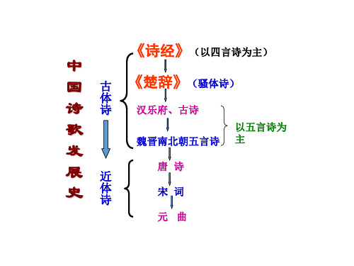 诗经   静女 无衣  氓 黍离  采薇、木瓜等