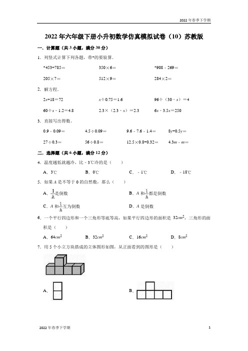 2022年六年级下学期小升初数学仿真模拟试卷(10)苏教版(解析版)