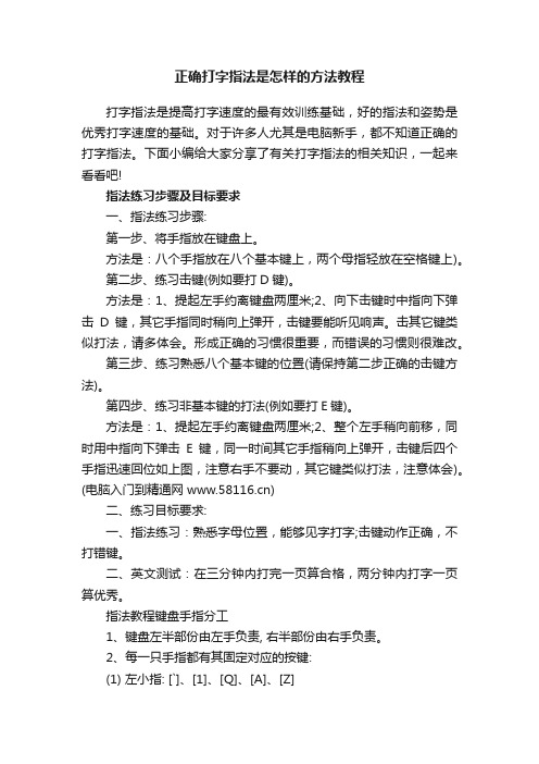 正确打字指法是怎样的方法教程