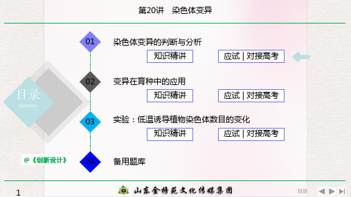 高中生物 第20讲 染色体变异