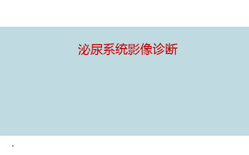 【医学课件】泌尿系统影像诊断