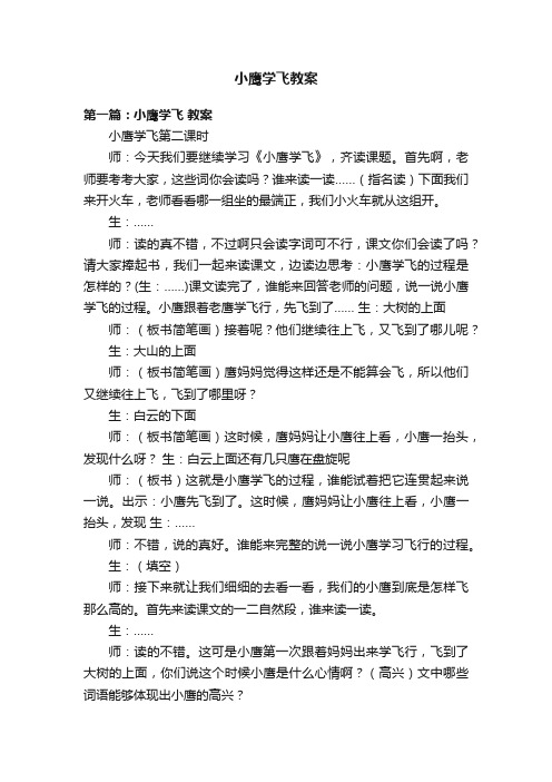 小鹰学飞教案