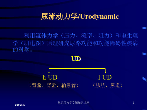 尿流动力学专题知识讲座培训课件