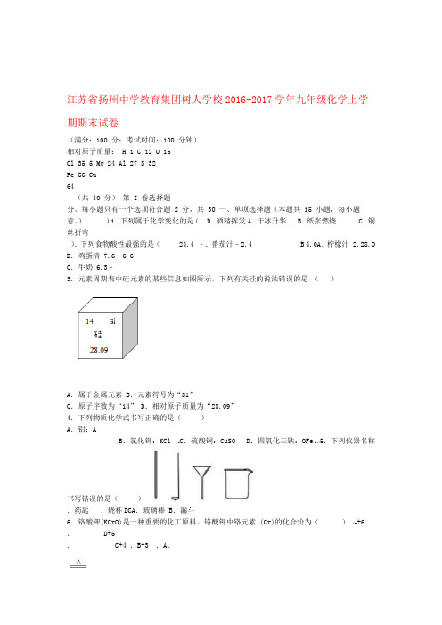 江苏省扬州中学教育集团树人学校2016 2017九年级化学上学期期末试卷