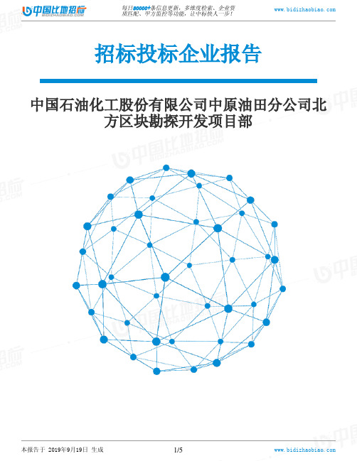 中国石油化工股份有限公司中原油田分公司北方区块勘探开发项目部_中标190920