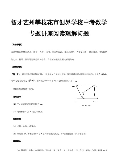 创界学校中考数学专题讲座阅读理解问题试题