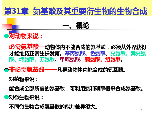 氨基酸的生物合成PPT课件