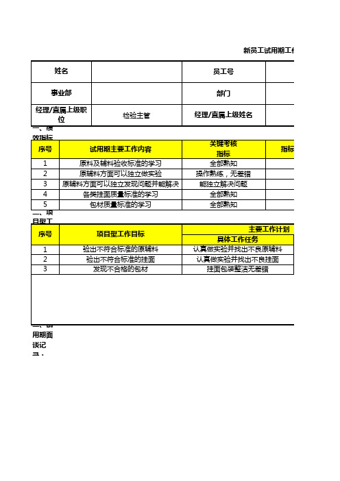 试用期工作计划及考核