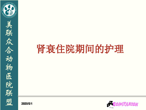 【医学课件】肾衰的护理PPT