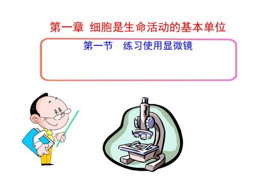 第一节练习使用显微镜 59ppt
