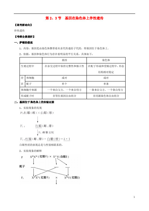 高考生物一轮精品复习 2.2 基因在染色体上和伴性遗传