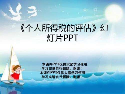 《个人所得税的评估》幻灯片PPT