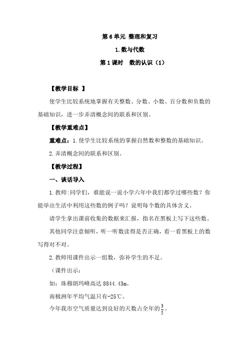 人教数学六年级下册总复习(数与代数)： 数的认识(1)教案