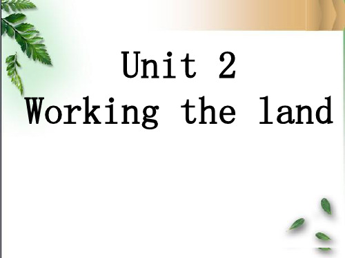 人教高中英语必修4Unit2Warming up  and Reading (共22张PPT)