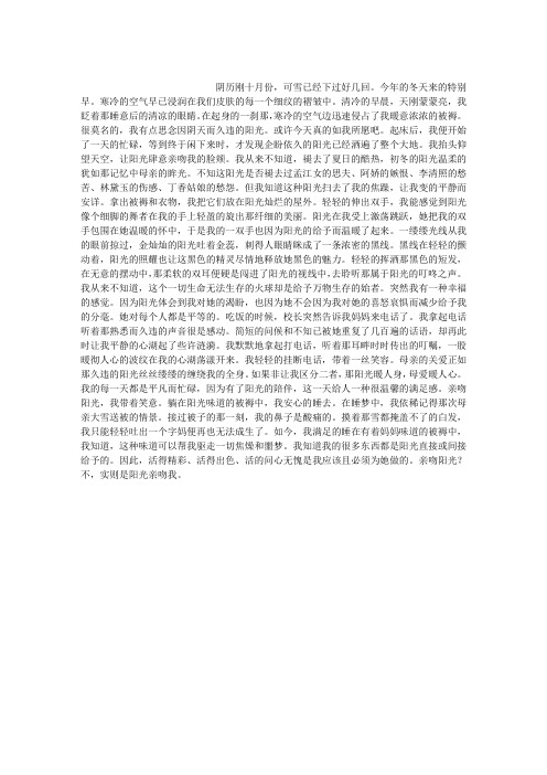 亲吻阳光