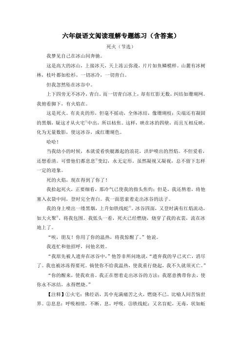 六年级语文阅读理解专题练习(含答案)