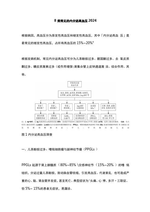 8类常见的内分泌高血压2024