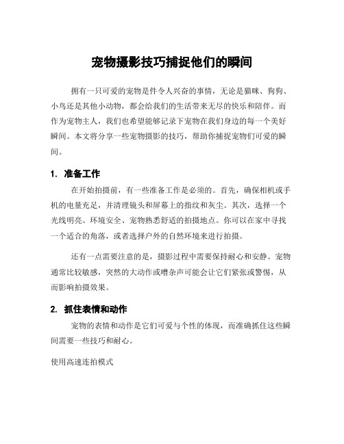 宠物摄影技巧捕捉他们的瞬间