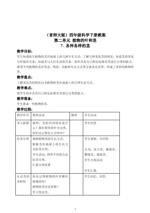 首师大小学科学四上《7.各种各样的茎》 教案(2)