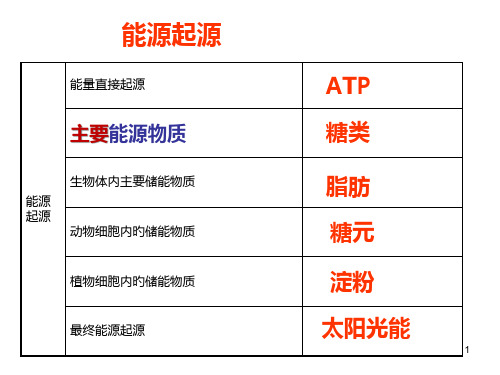 高一生物必修一细胞呼吸市公开课获奖课件省名师示范课获奖课件