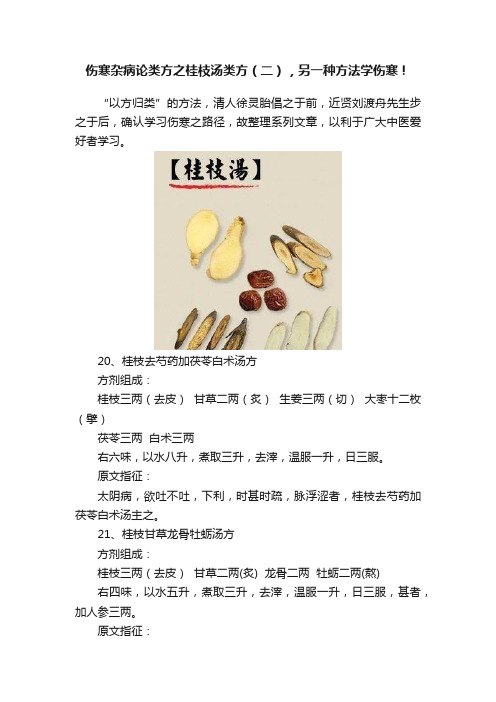 伤寒杂病论类方之桂枝汤类方（二），另一种方法学伤寒！