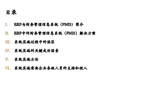 ERP与财务管理信息系统(ppt56).pptx