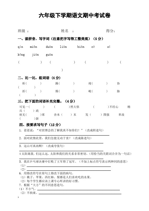 2014年春六年级下学期语文期中考前复习试卷