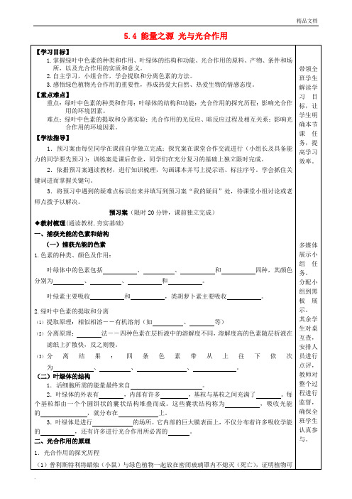 人教版高中生物必修1第5章第4节 能量之源――光与光合作用导学案(2)