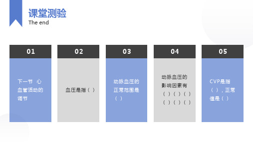 循环系统-心血管活动的调节