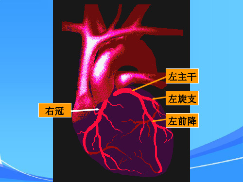 内科护理学_课程课件_18冠心病