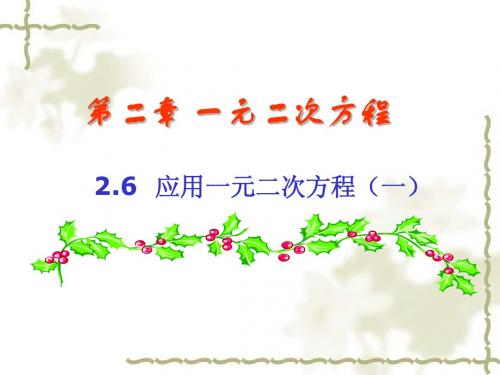 新北师大版九年级数学上2.6《应用一元二次方程》(共2课时)课件