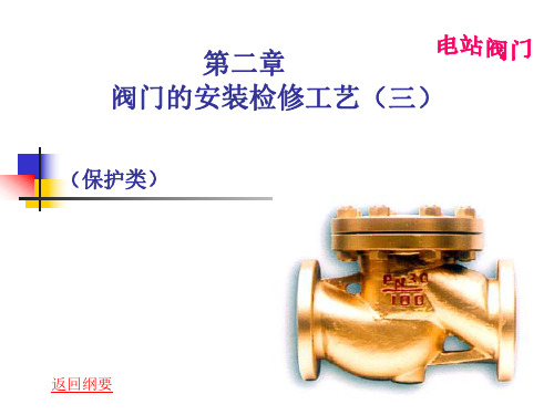 阀门的安装检修工艺三(保护类)