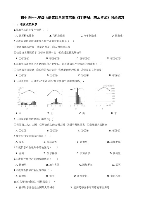 第四单元第三课《IT新城：班加罗尔》同步练习（含解析）